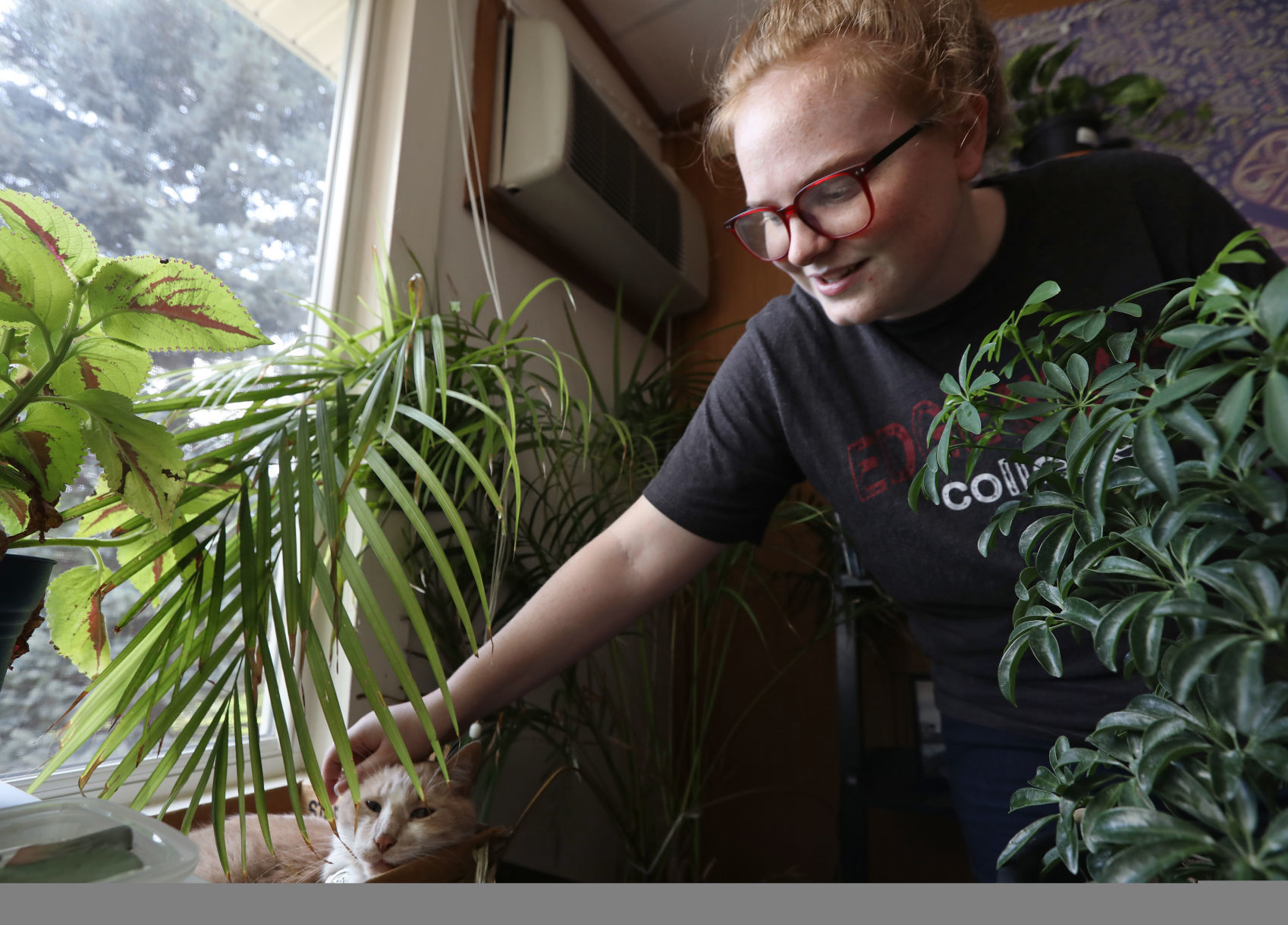 Edgewood College allows pets in campus housing